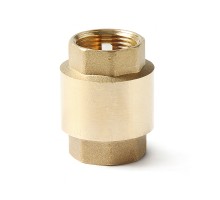 Обратный клапан с пластиковым диском, В-В 1   PROAQUA (1/120)