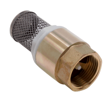 Обратный клапан с пластиковым сердечником с сеткой FF 1 1/4 (AQualink  50/5)