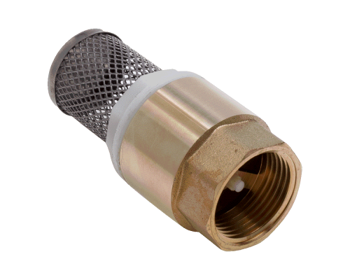 Обратный клапан с пластиковым сердечником с сеткой FF 1 1/4 (AQualink 50/5)